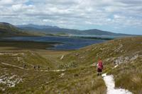 South Coast Track